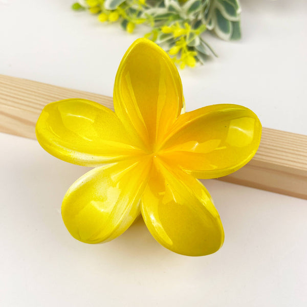 Colorful plumeria hair Clip