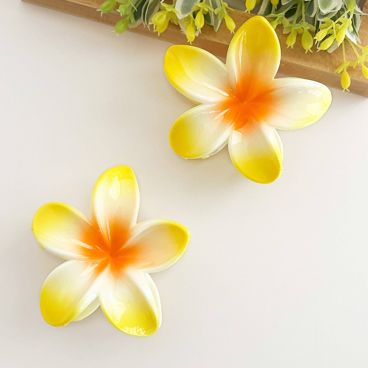 Colorful plumeria hair Clip