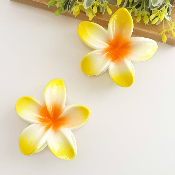 Colorful plumeria hair Clip