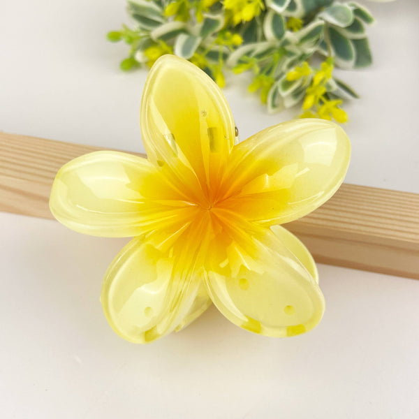 Colorful plumeria hair Clip