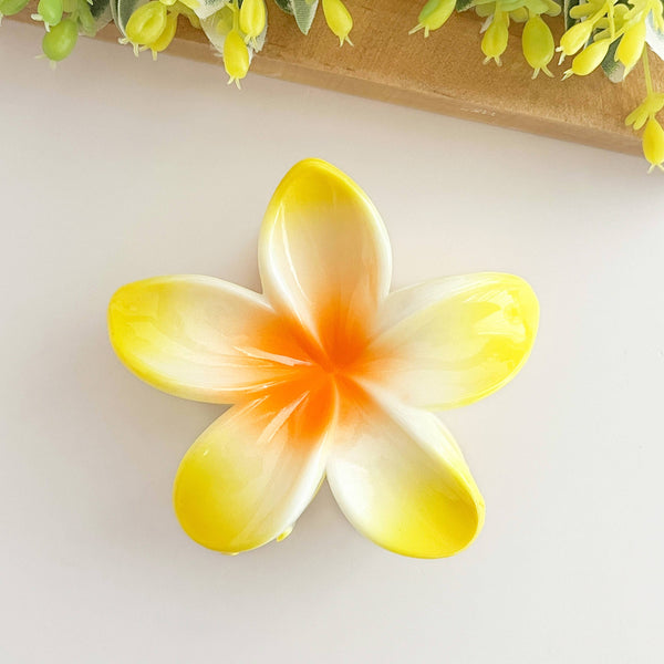 Colorful plumeria hair Clip