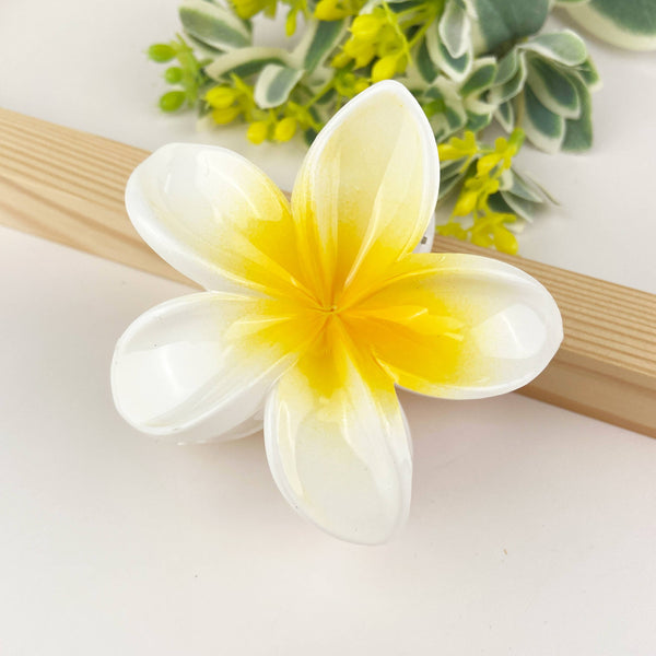 Colorful plumeria hair Clip