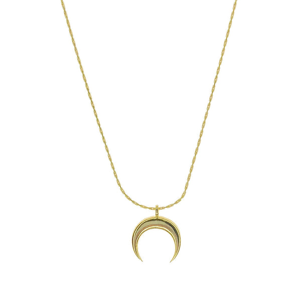 Horn ~ Salty Pendants