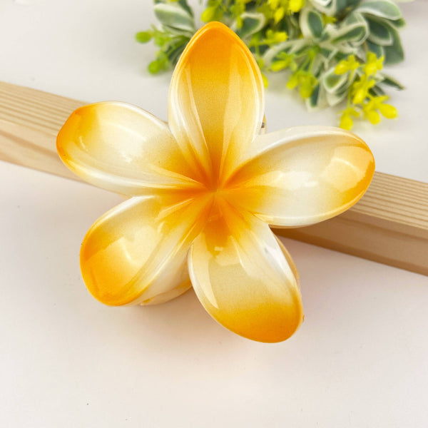 Colorful plumeria hair Clip