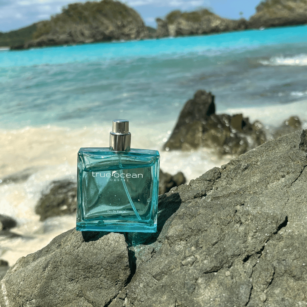 Coastal - Eau de Parfum sampler card (2ml) - Pack of 20